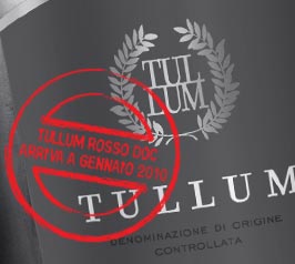 Logo Tullum